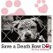 Death Row Dog Rescue