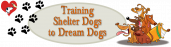 Shelter Dogs To Dream Dogs