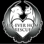 FurEver Home Rescue Of Minnesota