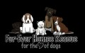 Fur Ever Homes Rescue Of Calgary