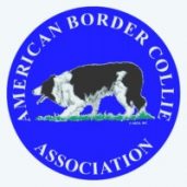 American Border Collie Association