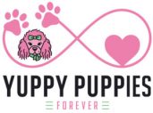 Yuppy Puppy