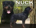 Von Elite Rottweilers