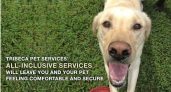 Tribeca Pet Services