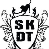 Springfield Side Kick Dog Training Springfield Side Kick Dog Training