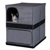 Save R Cats