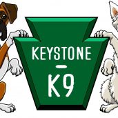 Keystone K9 Services