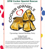 Dfw Cocker Spaniel Rescue