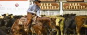 Cowan Select Horses