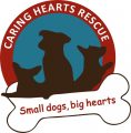 Caring Canine Animal Rescue