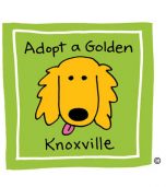 Adopt A Golden Knoxville