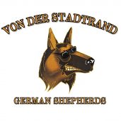 Von Der Stadtrand German Shepherds