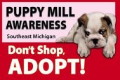 Puppy Mill Awareness Of Southeast Michigan Puppy Mill Awareness Of Southeast Michigan