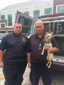 NJ Animal Control