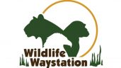 Wildlife Waystation