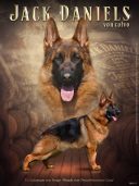 Von Calvo German Shepherds
