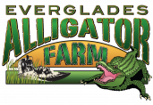 Everglades Alligator Farm