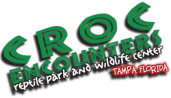 Croc Encounters