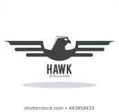 Digital Hawks