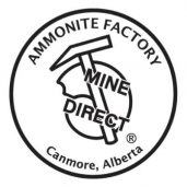 Ammonite Factory