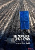 Song of Sparrows