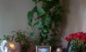 Psychic Love Specialist Angela Psychic Love Specialist Angela