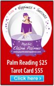 Psychic Elaine Palmer