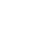 101 Livestock Auction