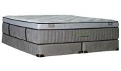 sleep to live mattress