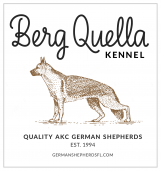 Berg Quella Kennel