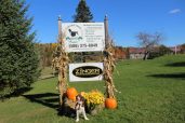 Heritage Farms Kennel