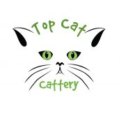 Liz Top Cattery