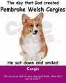 Heaven Pembroke Welsh Corgi