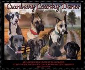 Country Danes Of Pennsylvania