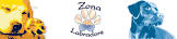 Zona Labradors