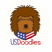 Usdoodles