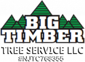 Timber Tree Service