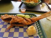 Snappers Seafood And Pasta