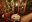 Scarborough Fair Restaurant