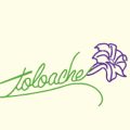 Toloache Restaurant