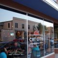 Cat City Grill