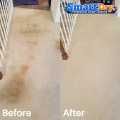 San Diego Carpet Cleaning