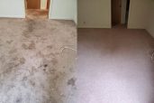 Quality Carpet Cleaning Of Walnut Creek