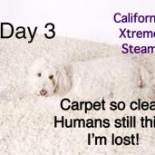 California Xtreme Steam