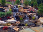 Signature Pond And Patio