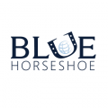 BLUE HORSESHOE SOLUTIONS