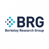 Berkeley Research Group