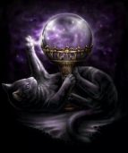 Enchanted Witchery