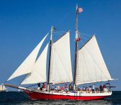 Tall Ship Red Witch
