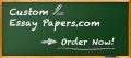 CustomEssayPapers